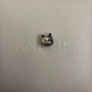 Pandora Charm